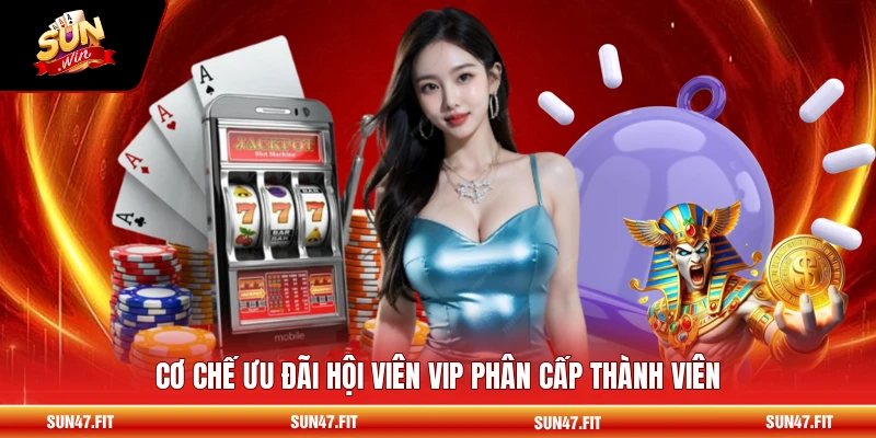 Ưu Đãi Hội Viên VIP - Quyền Lợi Độc Quyền Cho Bạn 2026 1 Cơ chế ưu đãi hội viên VIP phân cấp thành viên