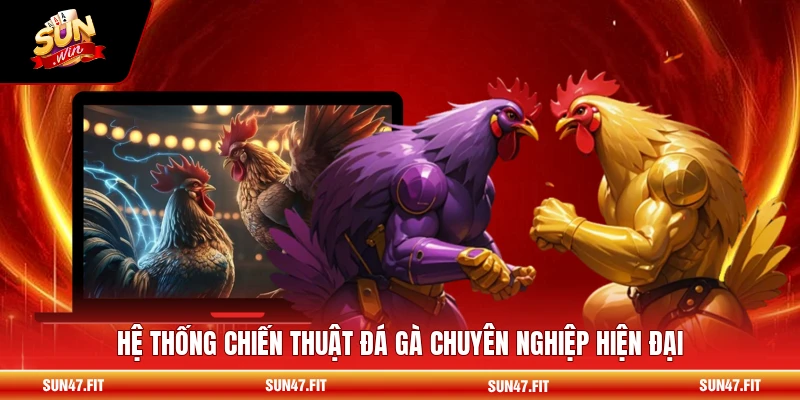 Các Thế Đá Gà Phổ Biến - Chiến Thuật Đỉnh Cao 1 Hệ thống chiến thuật đá gà chuyên nghiệp hiện đại