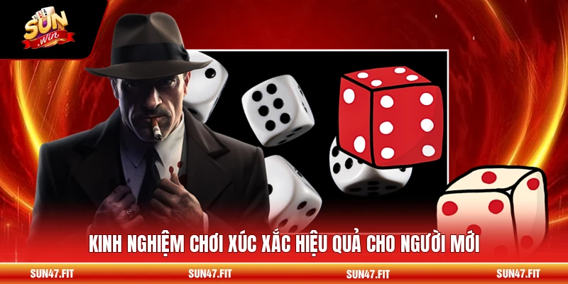 Super Sic Bo - Luật Chơi Và Mẹo Dành Cho Tân Thủ 2026 3 Kinh nghiệm chơi xúc xắc hiệu quả cho người mới