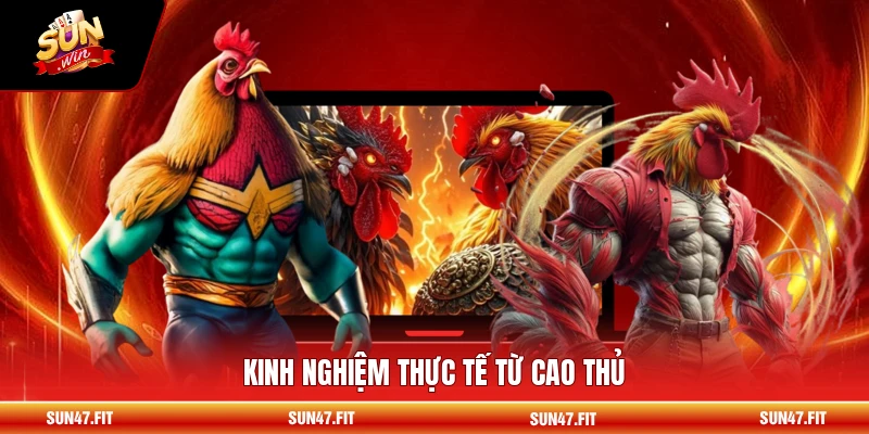 Kinh nghiệm thực tế từ cao thủ