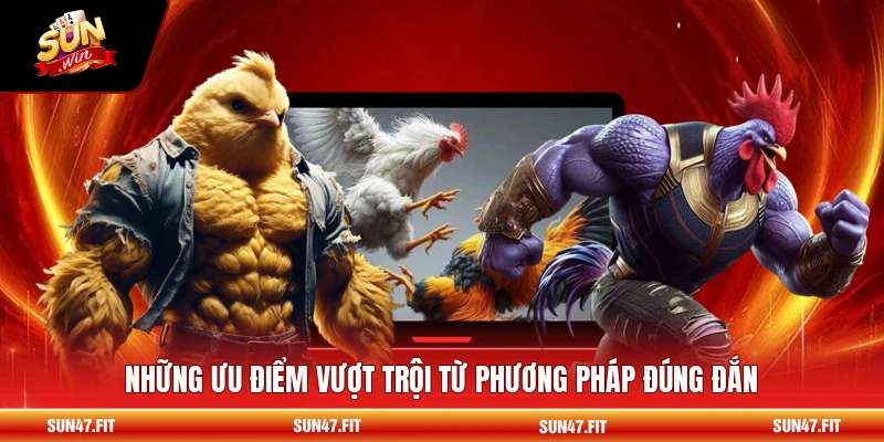 Các Thế Đá Gà Phổ Biến - Chiến Thuật Đỉnh Cao 3 Những ưu điểm vượt trội từ phương pháp đúng đắn