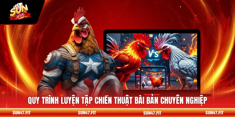 Các Thế Đá Gà Phổ Biến - Chiến Thuật Đỉnh Cao 2 Quy trình luyện tập chiến thuật bài bản chuyên nghiệp